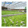 Agricultural Greenhouse Soiless Cultivation System for Sale